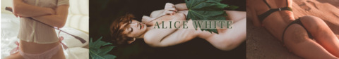 Header of aliceoncam