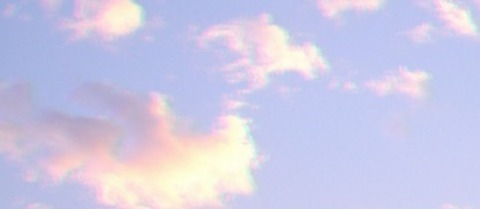 Header of alixlynx