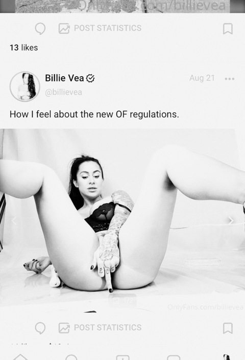 Header of billievea