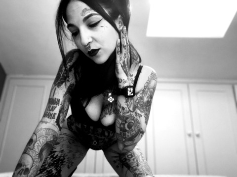 Header of little_queen_ink