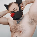 mikeypup profile picture