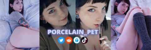 Header of porcelain_pet