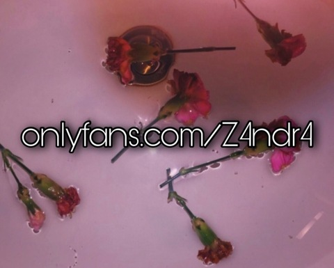 Header of z4ndr4